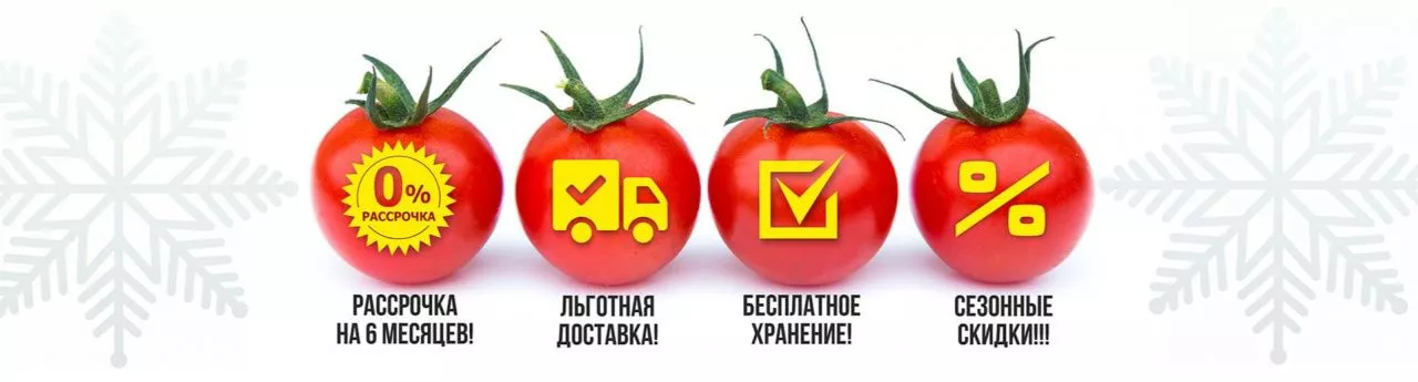 Баннер с акцией на главной